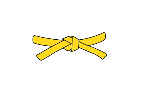 Yellow Belt